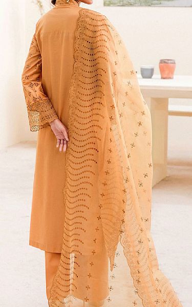 Motifz Faded Orange Cambric Suit | Pakistani Winter Dresses- Image 2