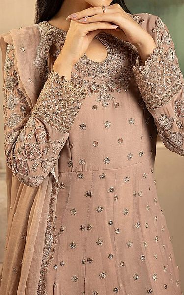 Motifz Oriental Pink Chiffon Suit | Pakistani Embroidered Chiffon Dresses USA- Image 3