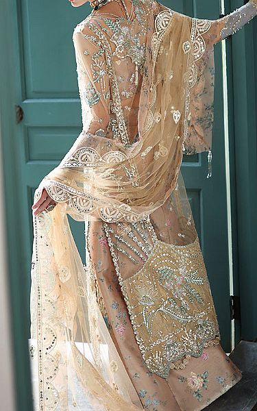 Mushq Fawn/Pink Net Suit | Pakistani Embroidered Chiffon Dresses USA- Image 3