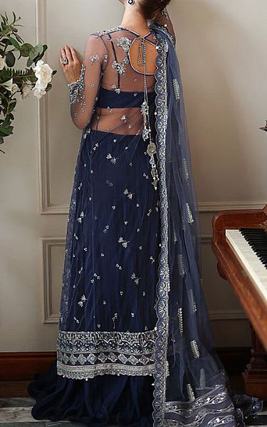 Mushq Blue Net Suit | Pakistani Embroidered Chiffon Dresses USA- Image 2