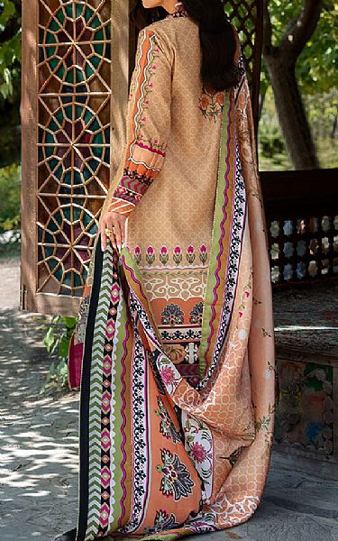 Mushq Fawn Raw Silk Suit | Pakistani Embroidered Chiffon Dresses USA- Image 2