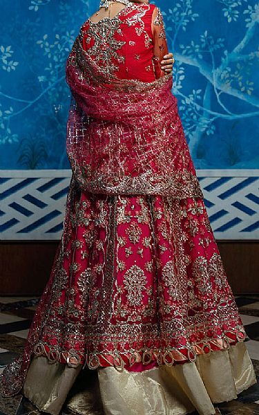 Mushq Red Net Suit | Pakistani Embroidered Chiffon Dresses USA- Image 2
