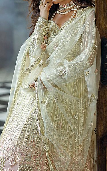Mushq Sage Green/Pink Net Suit | Pakistani Embroidered Chiffon Dresses USA- Image 3