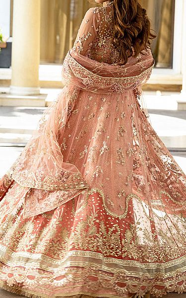 Mushq Peach Net Suit | Pakistani Embroidered Chiffon Dresses USA- Image 2