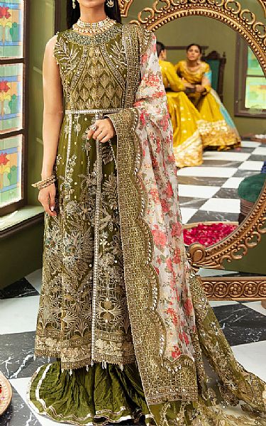 Nureh Olive Organza Suit | Pakistani Embroidered Chiffon Dresses- Image 1