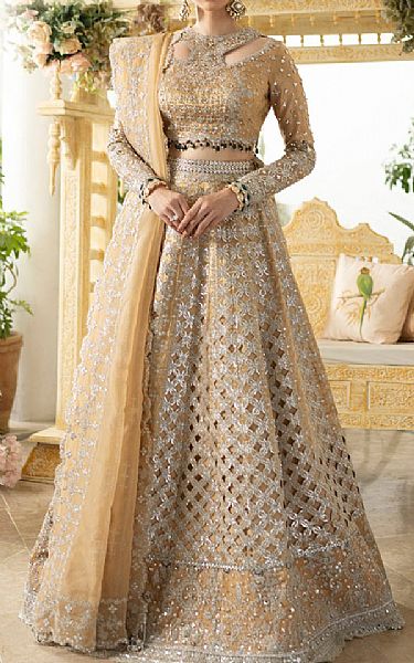 Qalamkar Sand Gold/Silver Masoori Suit | Pakistani Embroidered Chiffon Dresses- Image 1