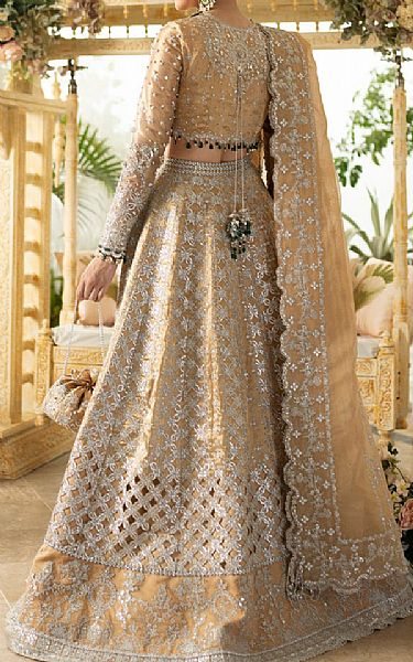 Qalamkar Sand Gold/Silver Masoori Suit | Pakistani Embroidered Chiffon Dresses- Image 2