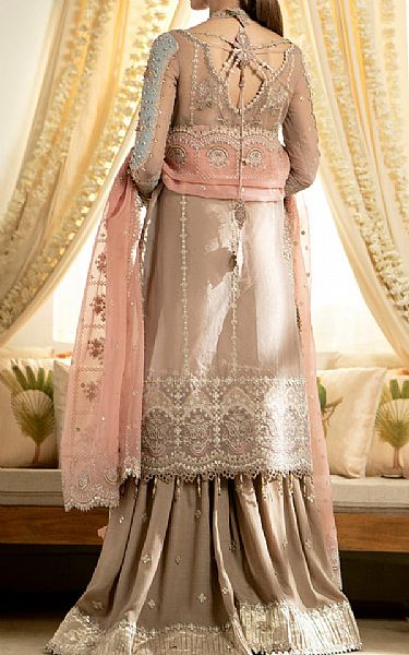Qalamkar Pale Taupe Organza Suit | Pakistani Embroidered Chiffon Dresses- Image 2