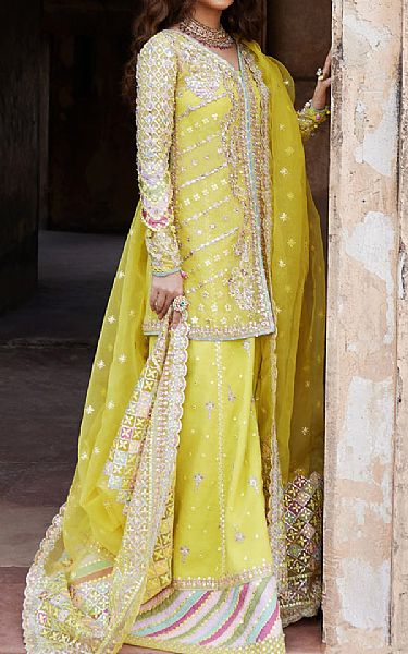 Qalamkar Lime Green Net Suit | Pakistani Embroidered Chiffon Dresses USA- Image 3