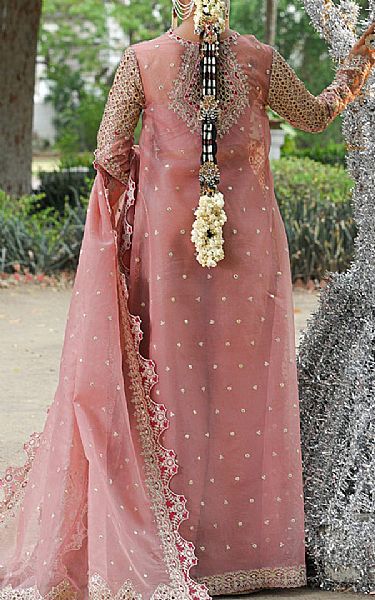 Qalamkar Oriental Pink Organza Suit | Pakistani Embroidered Chiffon Dresses USA- Image 2
