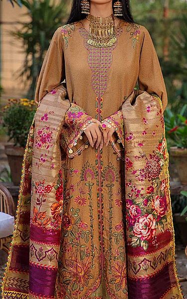 Rajbari Bronze Karandi Suit | Pakistani Dresses in USA- Image 2