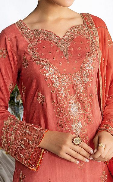 Ramsha Coral Raw Silk Suit | Pakistani Embroidered Chiffon Dresses USA- Image 3