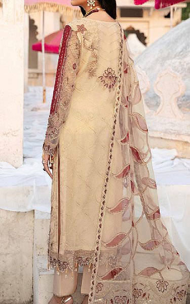 Ramsha Fawn Net Suit | Pakistani Embroidered Chiffon Dresses USA- Image 2