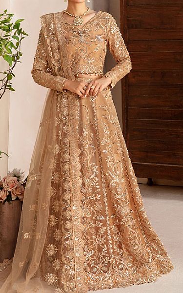 Ramsha Fawn Organza Suit | Pakistani Embroidered Chiffon Dresses USA- Image 1