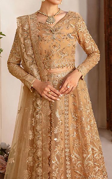 Ramsha Fawn Organza Suit | Pakistani Embroidered Chiffon Dresses USA- Image 3
