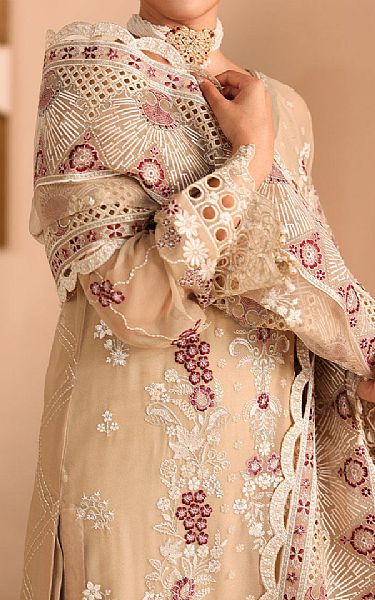 Ramsha Tan Chiffon Suit | Pakistani Embroidered Chiffon Dresses USA- Image 3