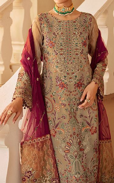 Ramsha Tan Organza Suit | Pakistani Embroidered Chiffon Dresses USA- Image 3