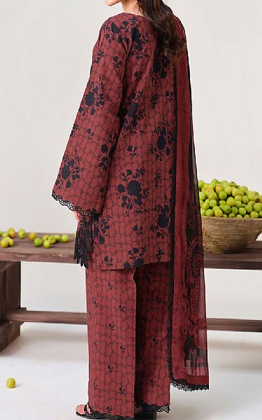 Ramsha Brown Lawn Suit | Pakistani Lawn Dress in USA- Image 2