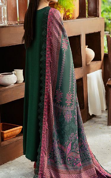 Ramsha Green Karandi Suit | Pakistani Winter Dresses in USA- Image 2