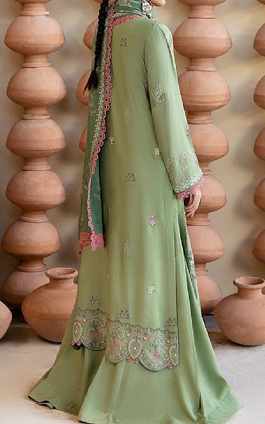 Ramsha Light Green Karandi Suit | Pakistani Winter Dresses in USA- Image 2