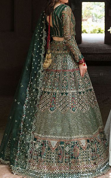 Ramsha Green Organza Suit | Pakistani Embroidered Chiffon Dresses USA- Image 2