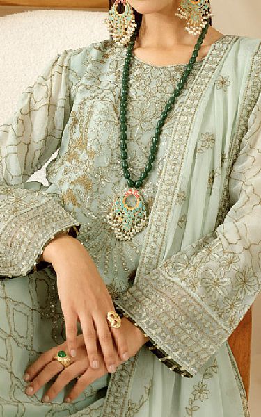 Ramsha Sea Mist Chiffon Suit | Pakistani Embroidered Chiffon Dresses USA- Image 3