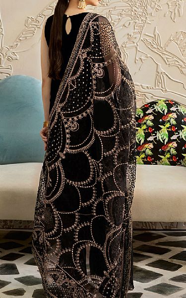 Ramsha Black Velvet Suit | Pakistani Winter Dresses in USA- Image 2