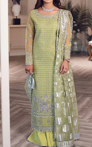 Lime Green Organza Suit | Rang Rasiya Pakistani Chiffon Dresses