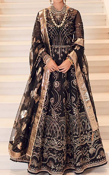 Black Organza Suit | Rang Rasiya Pakistani Chiffon Dresses