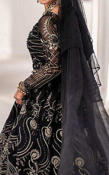 Black Organza Suit | Rang Rasiya Pakistani Chiffon Dresses