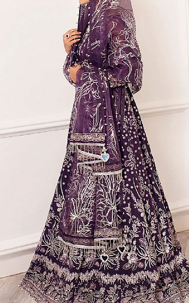 Indigo Organza Suit | Rang Rasiya Pakistani Chiffon Dresses