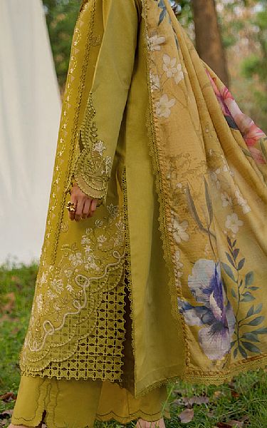 Rang Rasiya Olive Lawn Suit | Pakistani Lawn Dress in USA- Image 2