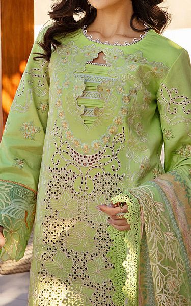 Rang Rasiya Light Olive Green Lawn Suit | Pakistani Lawn Dress in USA- Image 2