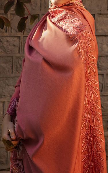Rang Rasiya Coral Karandi Suit | Pakistani Winter Dresses- Image 2