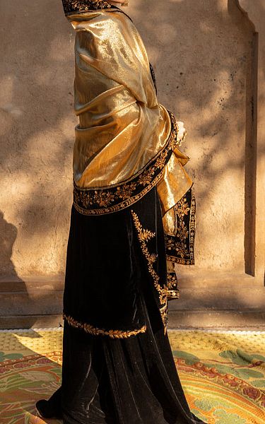 Rang Rasiya Black Chiffon Suit | Pakistani Embroidered Chiffon Dresses- Image 2