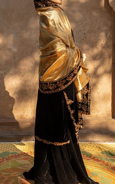 Rang Rasiya Black Velvet Suit | Pakistani Winter Dresses- Image 2
