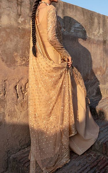 Rang Rasiya Pale Brown Net Suit | Pakistani Embroidered Chiffon Dresses- Image 2