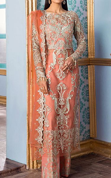 Reign Peach Net Suit | Pakistani Embroidered Chiffon Dresses- Image 1