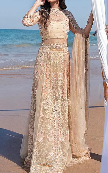Reign Fawn Net Suit | Pakistani Embroidered Chiffon Dresses- Image 1