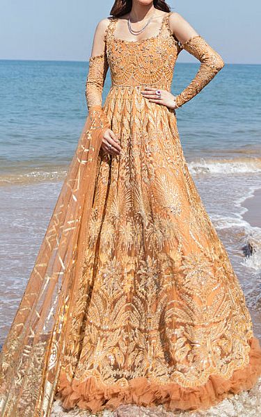 Reign Orange Net Suit | Pakistani Embroidered Chiffon Dresses- Image 1