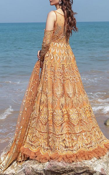 Reign Orange Net Suit | Pakistani Embroidered Chiffon Dresses- Image 2