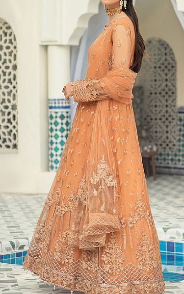 Resham Ghar Safety Orange Net Suit | Pakistani Embroidered Chiffon Dresses- Image 2