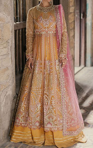 Roheenaz Golden/Pink Net Suit | Pakistani Embroidered Chiffon Dresses USA- Image 1