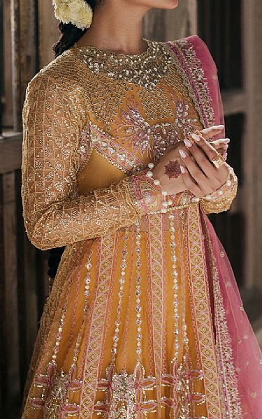 Roheenaz Golden/Pink Net Suit | Pakistani Embroidered Chiffon Dresses USA- Image 2