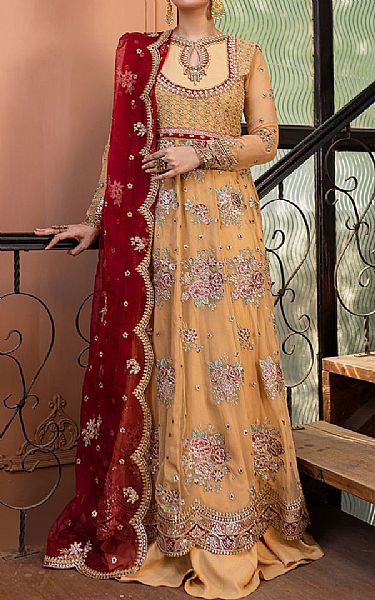 Roheenaz Sand Gold Net Suit | Pakistani Embroidered Chiffon Dresses USA- Image 1