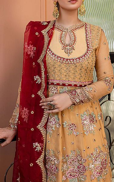 Roheenaz Sand Gold Net Suit | Pakistani Embroidered Chiffon Dresses USA- Image 2