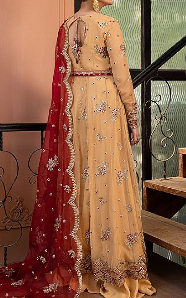 Roheenaz Sand Gold Net Suit | Pakistani Embroidered Chiffon Dresses USA- Image 3