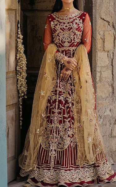 Roheenaz Maroon Net Suit | Pakistani Embroidered Chiffon Dresses USA- Image 1