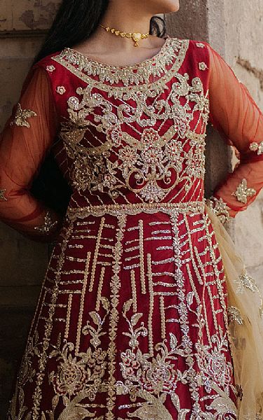 Roheenaz Maroon Net Suit | Pakistani Embroidered Chiffon Dresses USA- Image 2