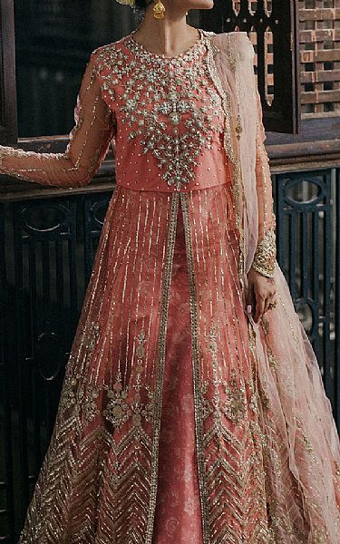 Roheenaz Peach/Gold Net Suit | Pakistani Embroidered Chiffon Dresses USA- Image 3